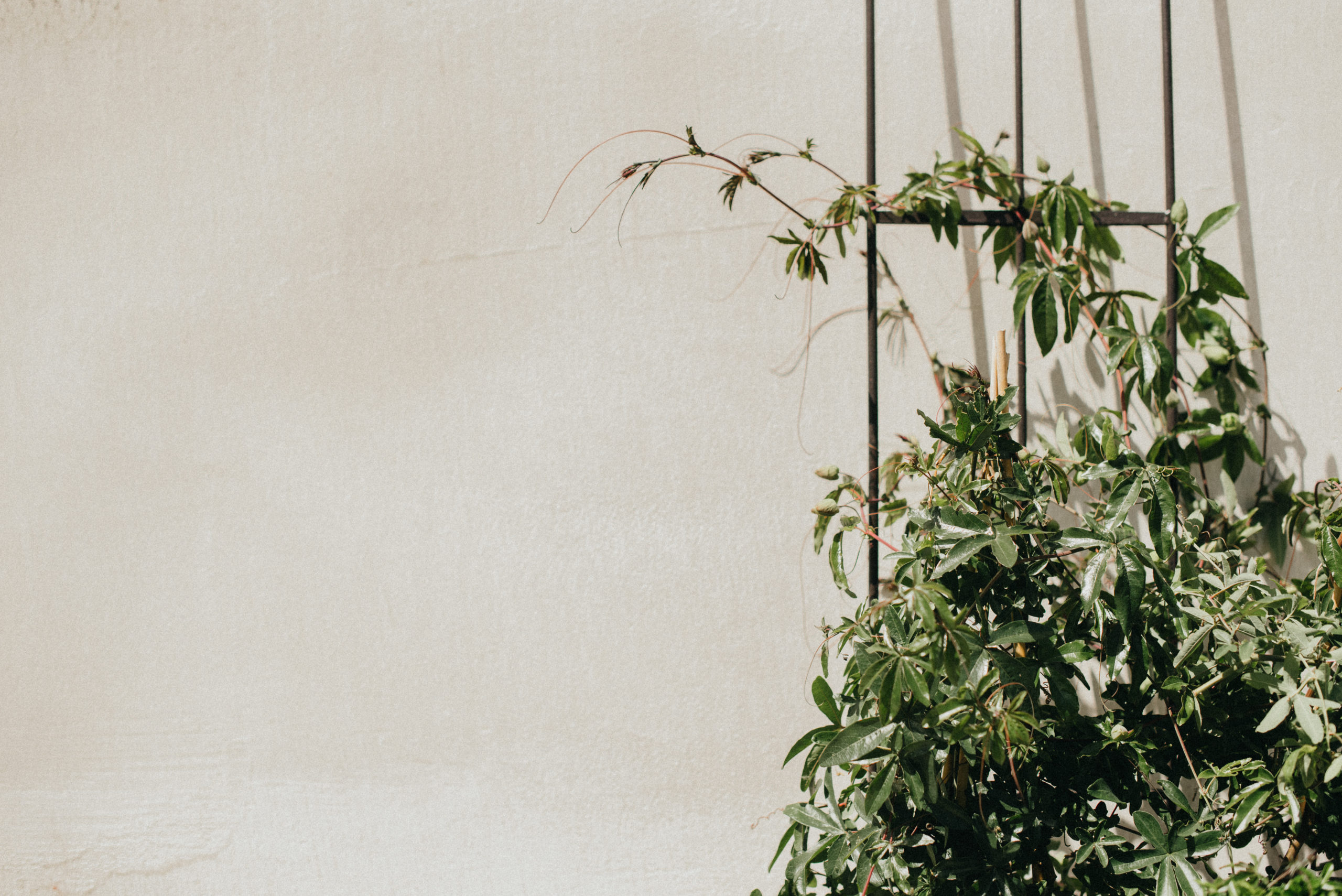 editorial photographer belgium brussels