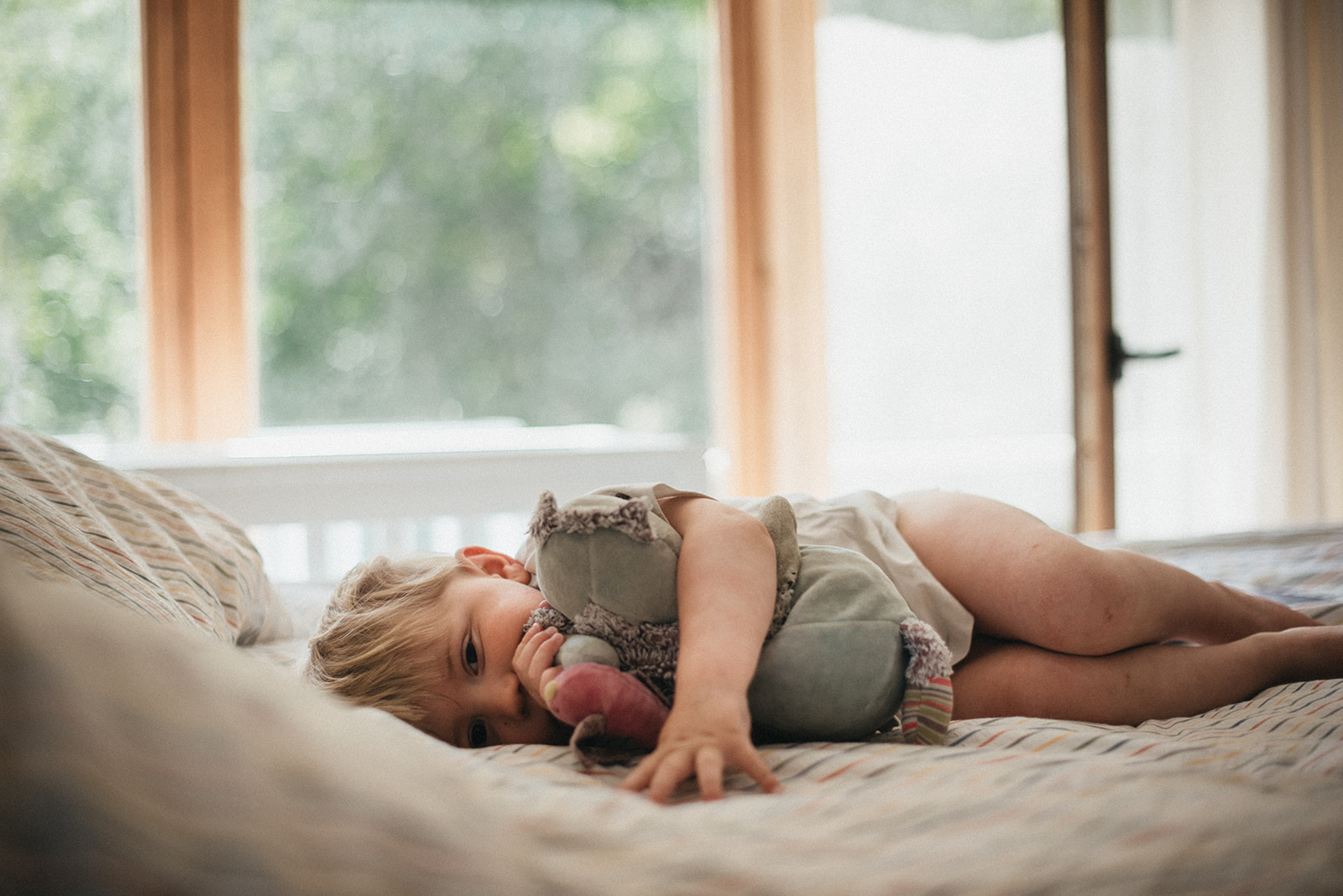 apprendre la photo de famille