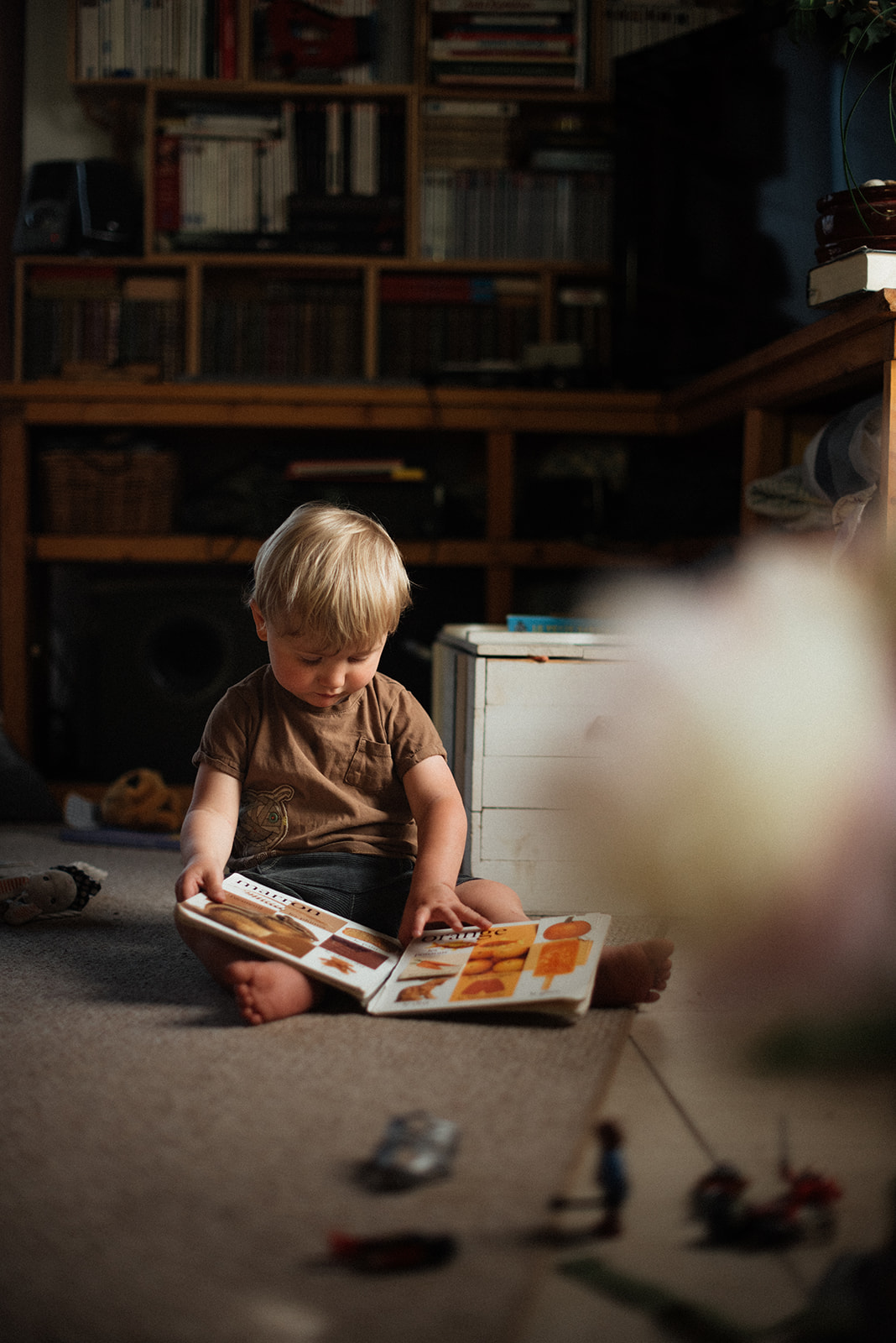 apprendre la photo de famille