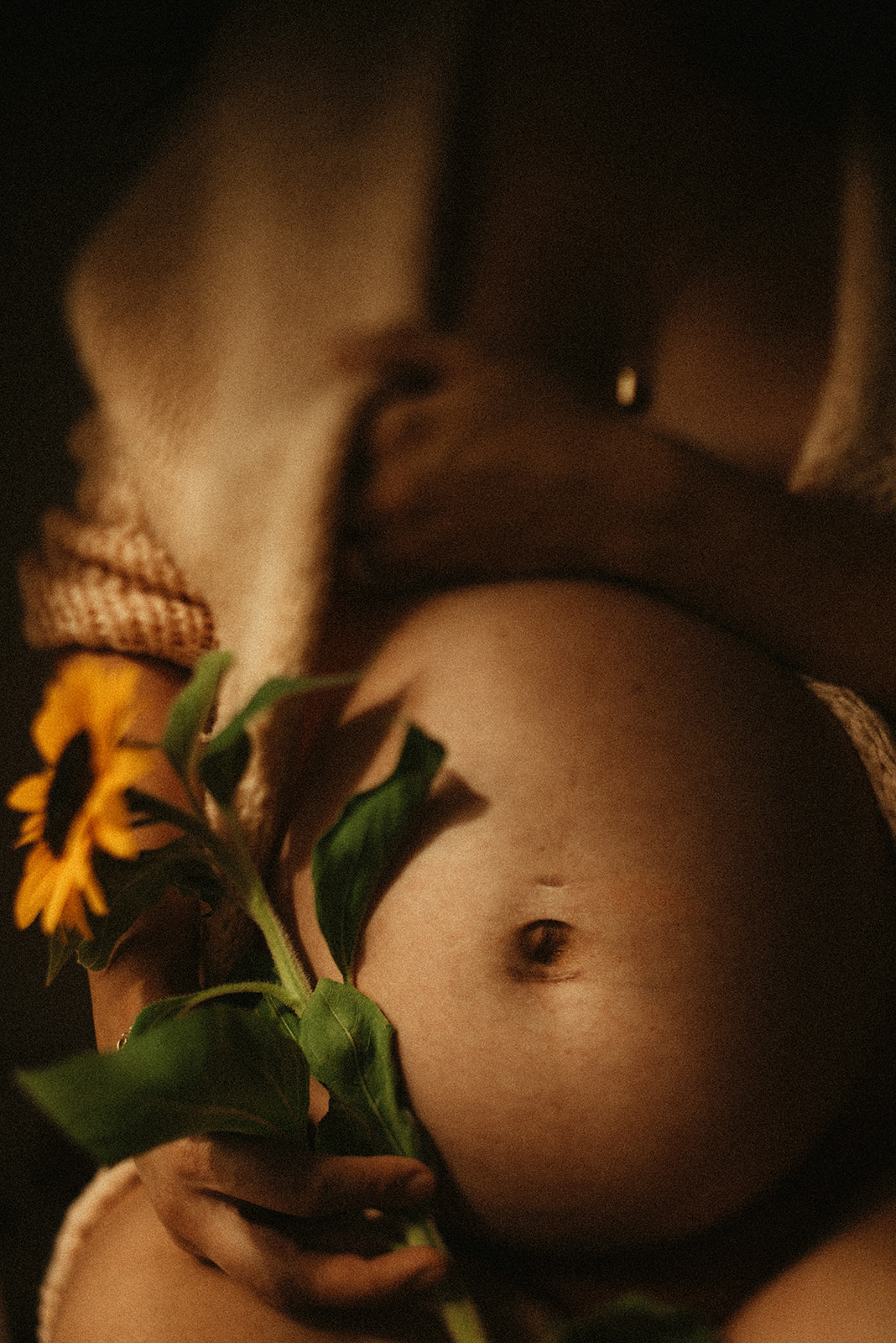 photographe grossesse bruxelles poétique