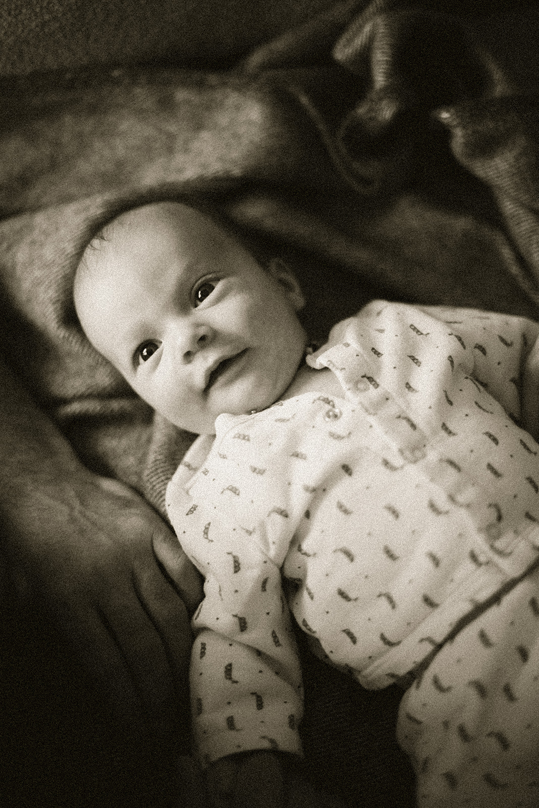 new born photographer brussels